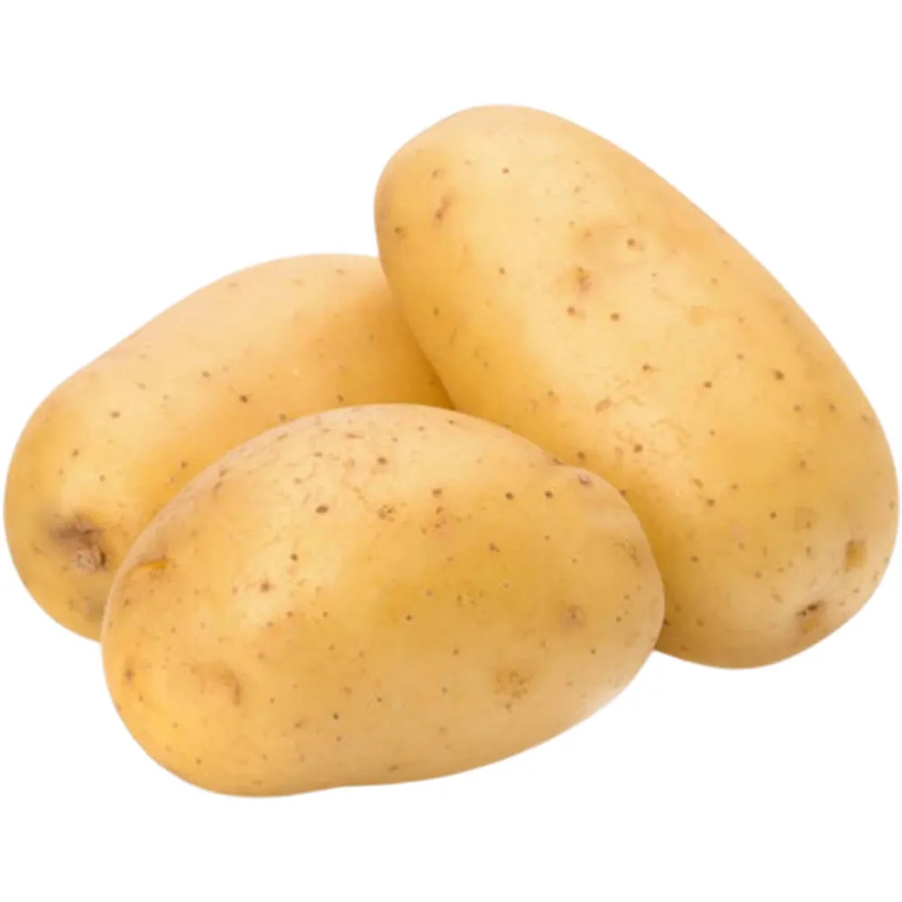 POTATO BAG PAKISTAN PP