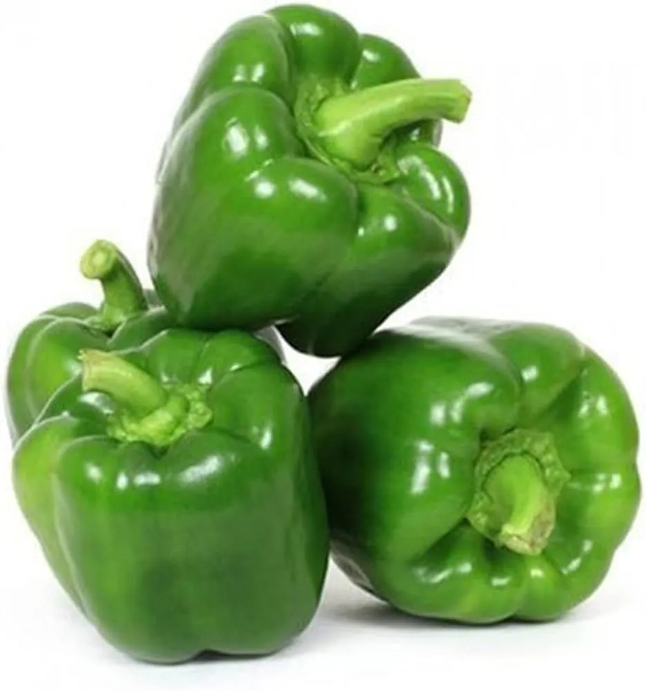 CAPSICUM GREEN