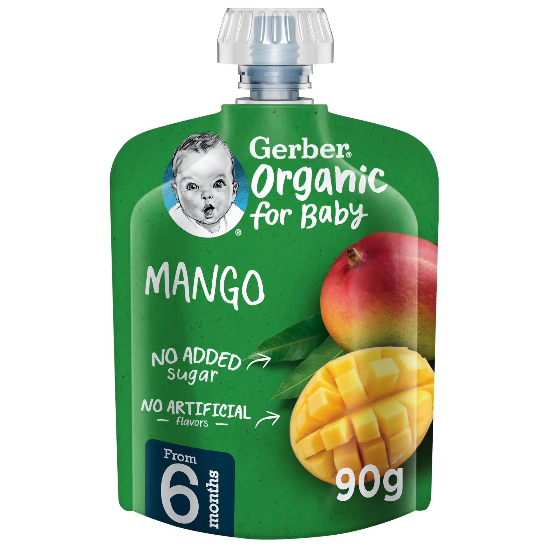 NESTLE GERBER ORGANIC MANGO 1X9GM