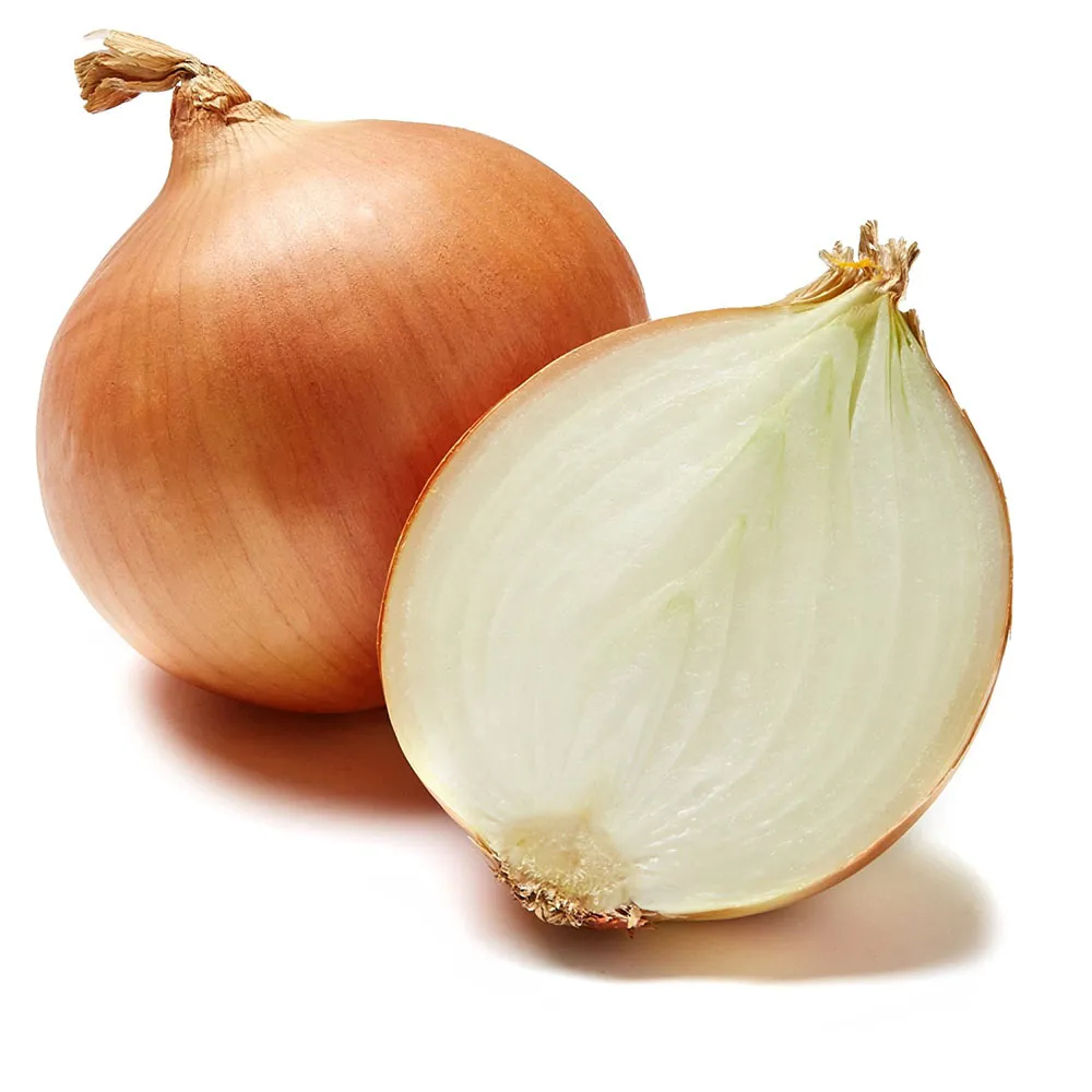 ONION EGYPT