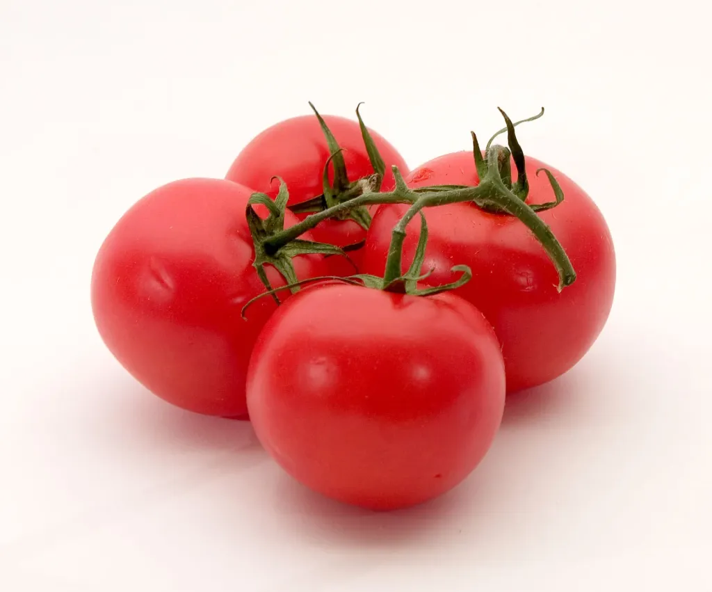 TOMATO